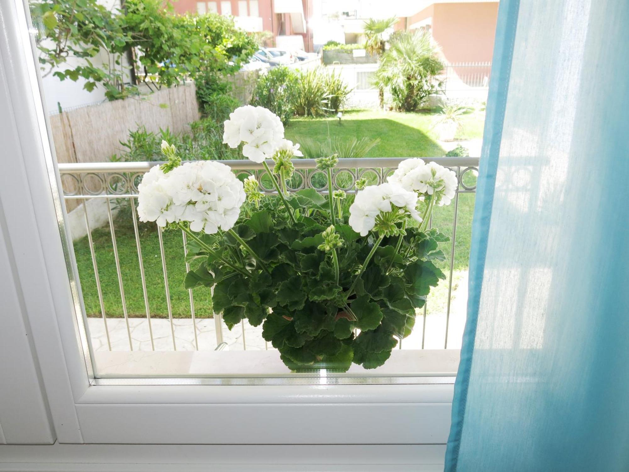Residence Amarein Caorle Zewnętrze zdjęcie