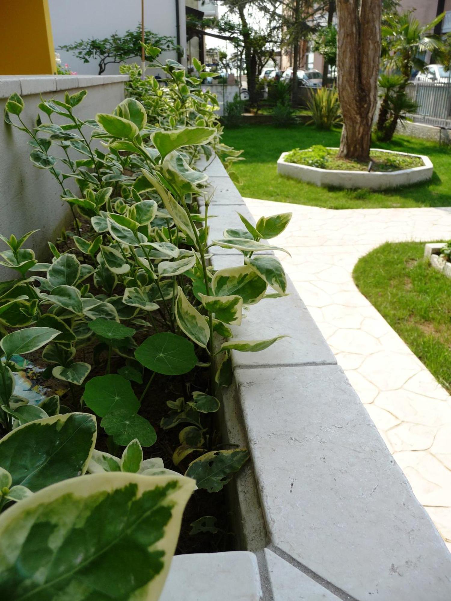 Residence Amarein Caorle Zewnętrze zdjęcie