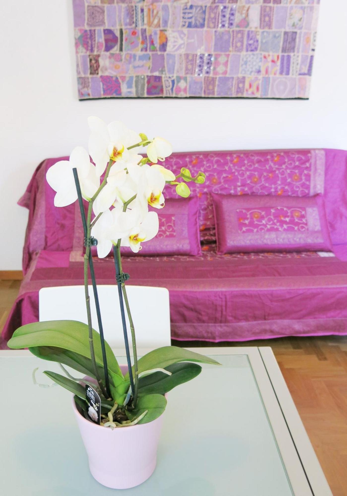 Residence Amarein Caorle Zewnętrze zdjęcie